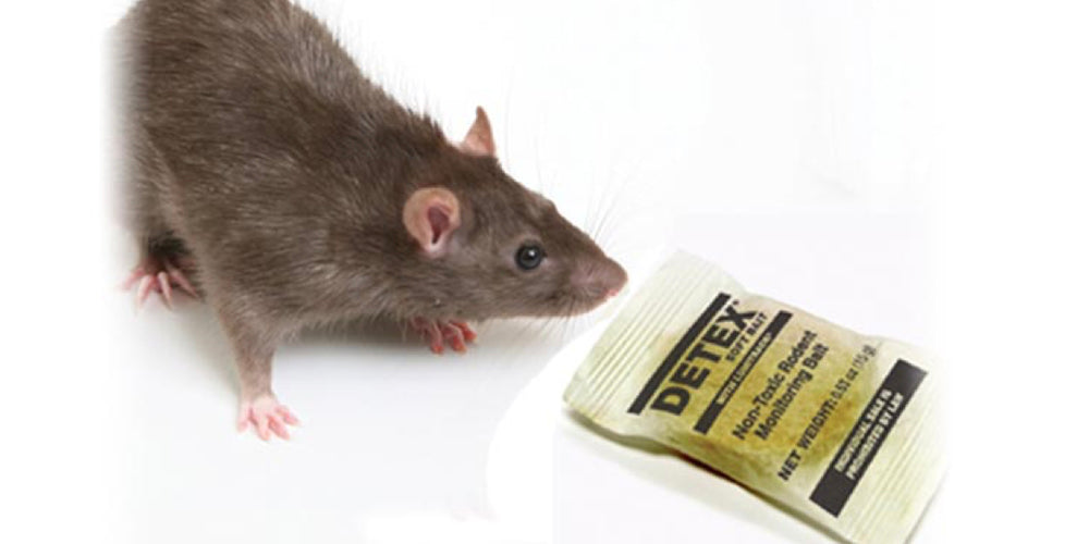 Interior Rat Control & Monitoring System