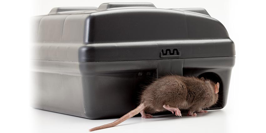Exterior Rodent Control & Monitoring System