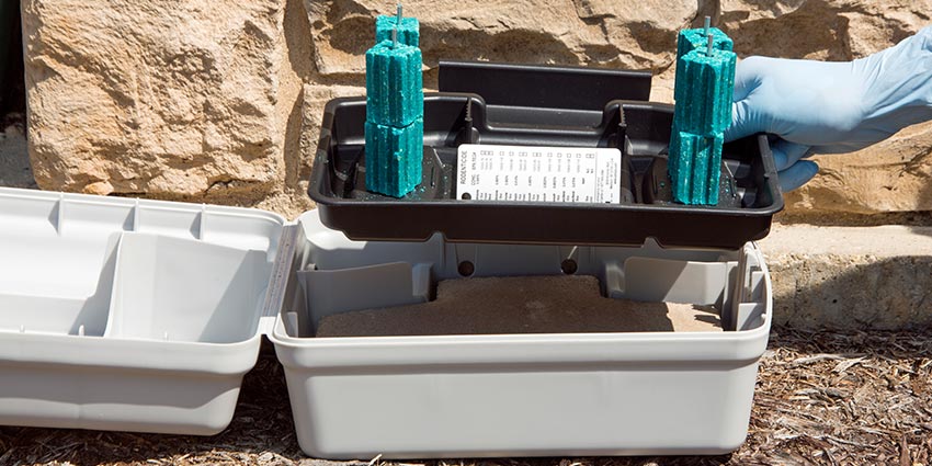 Exterior Rodent Control & Monitoring System