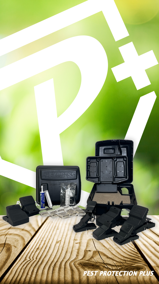 Exterior Rodent Control & Monitoring System