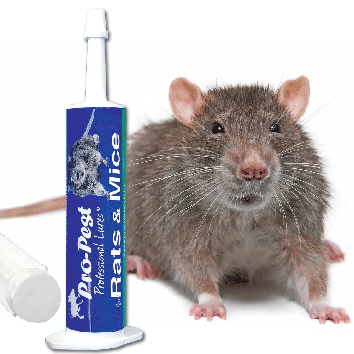 Interior Rat Control & Monitoring System