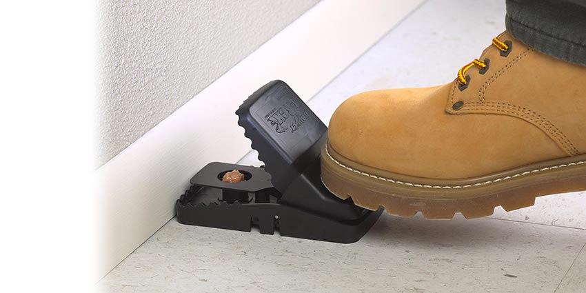 Interior Rat Control & Monitoring System