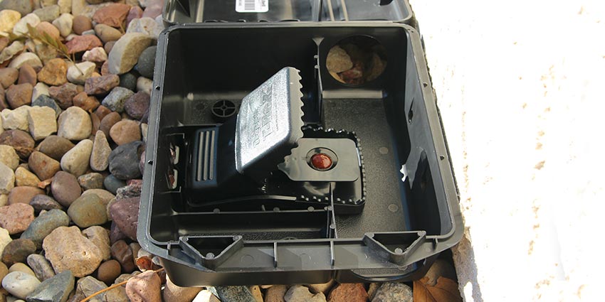 Interior Rat Control & Monitoring System