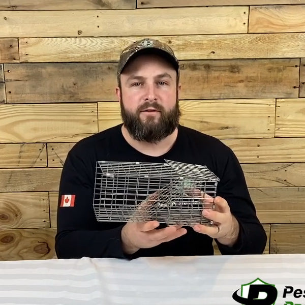 <iframe width="1195" height="672" src="https://www.youtube.com/embed/zwnpQdsdkK4?autoplay=1" frameborder="0" allow="accelerometer; autoplay; encrypted-media; gyroscope; picture-in-picture" allowfullscreen></iframe>